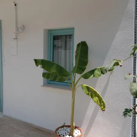 Nunu House Urla-3
